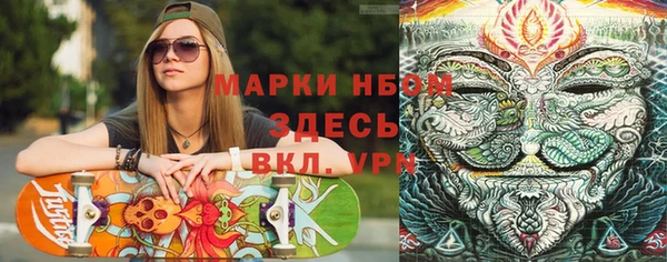 сатива Алексеевка