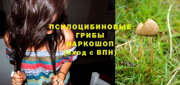 сатива Алексеевка