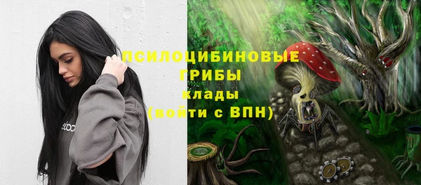 сатива Алексеевка