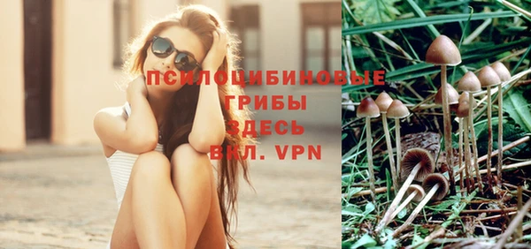 мяу мяу мука Алексин