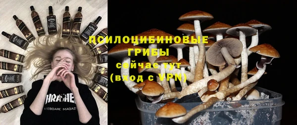 сатива Алексеевка
