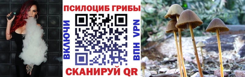 Псилоцибиновые грибы мицелий  где можно купить наркотик  Дыгулыбгей 