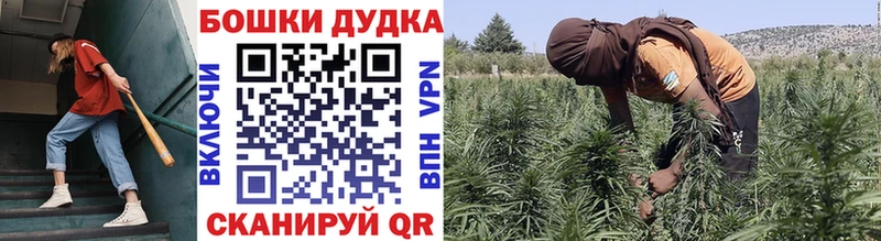 Бошки марихуана AK-47  Дыгулыбгей 